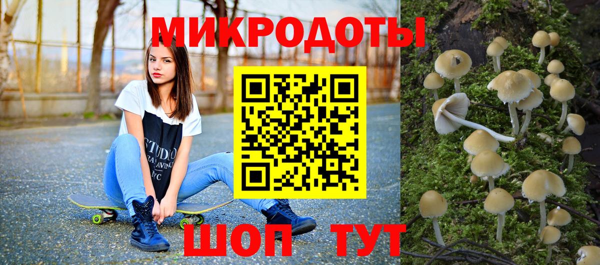Галлюциногенные грибы Cubensis Красногорск