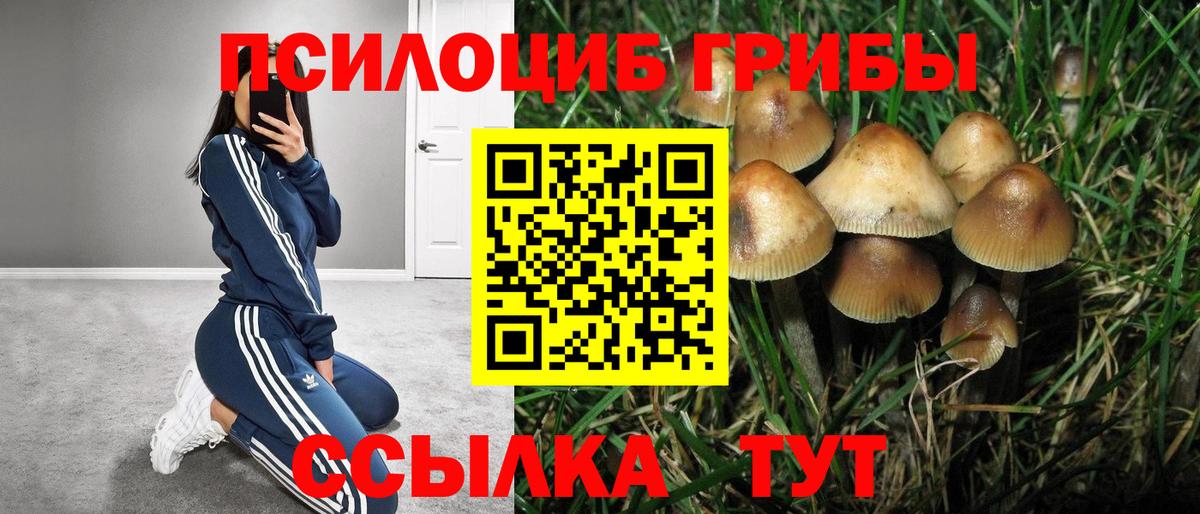 Галлюциногенные грибы мухоморы  Вход с VPN  Красногорск 